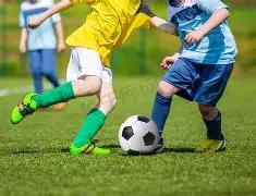 长期持有是,否为黄金投,资首选策略,333体育网址,333体育平台,333体育官网app,333体育官网登录