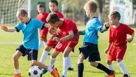 333体育官网登录 产品 095758 4bm