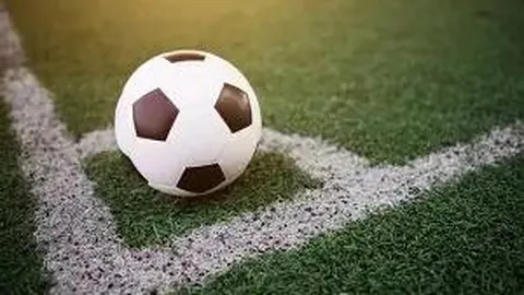 333体育官网登录 资讯 111352 bfo