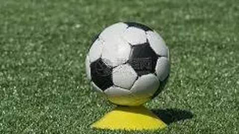 商业汇票分类与差异解析