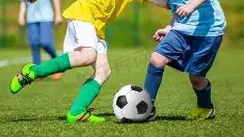 333体育官网登录 产品 092427 sew