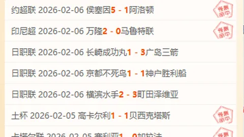 本泽马：揭秘皇马前锋的锅侠传奇